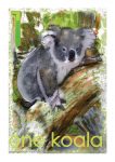 1 koala Poster John Duffield duffield-design