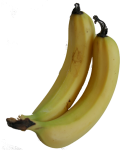 2 Bananas Bev Dunbar Maths Matters