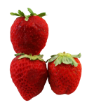 3-strawberries-Bev-Dunbar-Maths-Matters