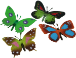 4 Butterflies Bev Dunbar Maths Matters