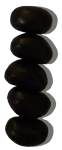 5 Black Jellybeans Column Graph Bev Dunbar Maths Matters