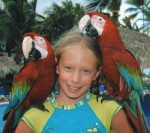 8.5 cm long beaks Enya and 2 macaws Bev Dunbar Maths Matters