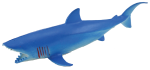 Add & Subtract 1 Blue Shark Bev Dunbar Maths Matters