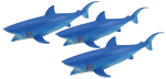 Add & Subtract 3 Blue Sharks Bev Dunbar Maths Matters