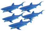 Add & Subtract 5 Blue Sharks Bev Dunbar Maths Matters