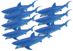 Add & Subtract 8 Blue Sharks Bev Dunbar Maths Matters