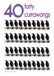 40 currawongs Poster John Duffield duffield-design