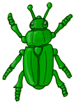 Beetle - Green - John Duffield duffield-design