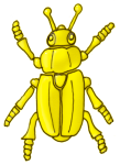 Beetle - Yellow - John Duffield duffield-design