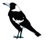 Bird - Magpie - John Duffield duffield-design
