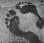 Compare Footprints Bev Dunbar Maths Matters