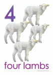 Farm Animals 4 Poster Bev Dunbar Maths Matters