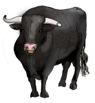 Farm animal - Bull John Duffield duffield-design