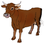 Farm - Brown Cow John Duffield duffield-design