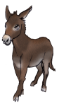 Farm animal - Donkey John Duffield duffield-design