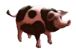 Farm animal - Pig3 - facing right John Duffield duffield-design