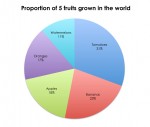 Fruit Pie Chart - Bev Dunbar Maths Matters