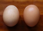 MakeBananaBreadD 2 eggs Bev Dunbar Maths Matters