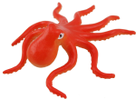 Red Octopus Bev Dunbar Maths Matters