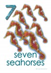 Sea Creatures 7 Seahorses Poster Bev Dunbar Maths Matters