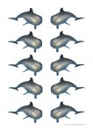 Sea Creatures Dolphin Counters Bev Dunbar Maths Matters