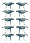 Sea Creatures Whale Counters Bev Dunbar Maths Matters