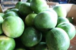Spherical Melons Bev Dunbar Maths Matters
