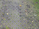Square grass pattern Bali Bev Dunbar Maths Matters