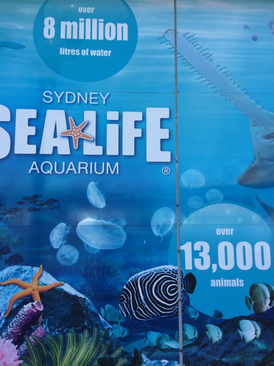 MEASUREMENT – VOLUME & CAPACITY – Photographs – Sydney Aquarium 8 million L  | Maths Matters Resources
