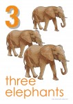 Wild Animals 1 to 10 Posters Bev Dunbar Maths Matters