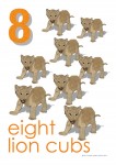 Wild Animals 1 to 10 Posters Bev Dunbar Maths Matters